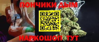 сатива Кингисепп