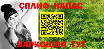 сатива Кингисепп