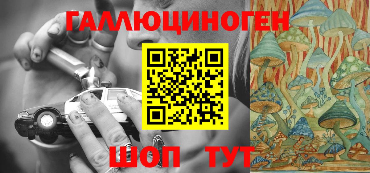 Кызыл  Псилоцибиновые грибы прущие грибы  Вход с VPN 
