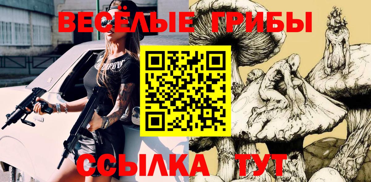 Галлюциногенные грибы GOLDEN TEACHER Кызыл